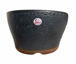 Bonsai Pot succulent nursery centurion pretoria