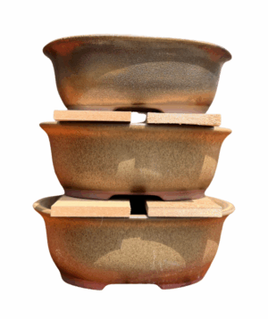 bonsai pot succulent nursery centurion pretoria