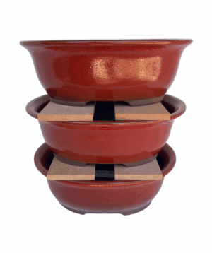 bonsai pot succulent nursery centurion pretoria