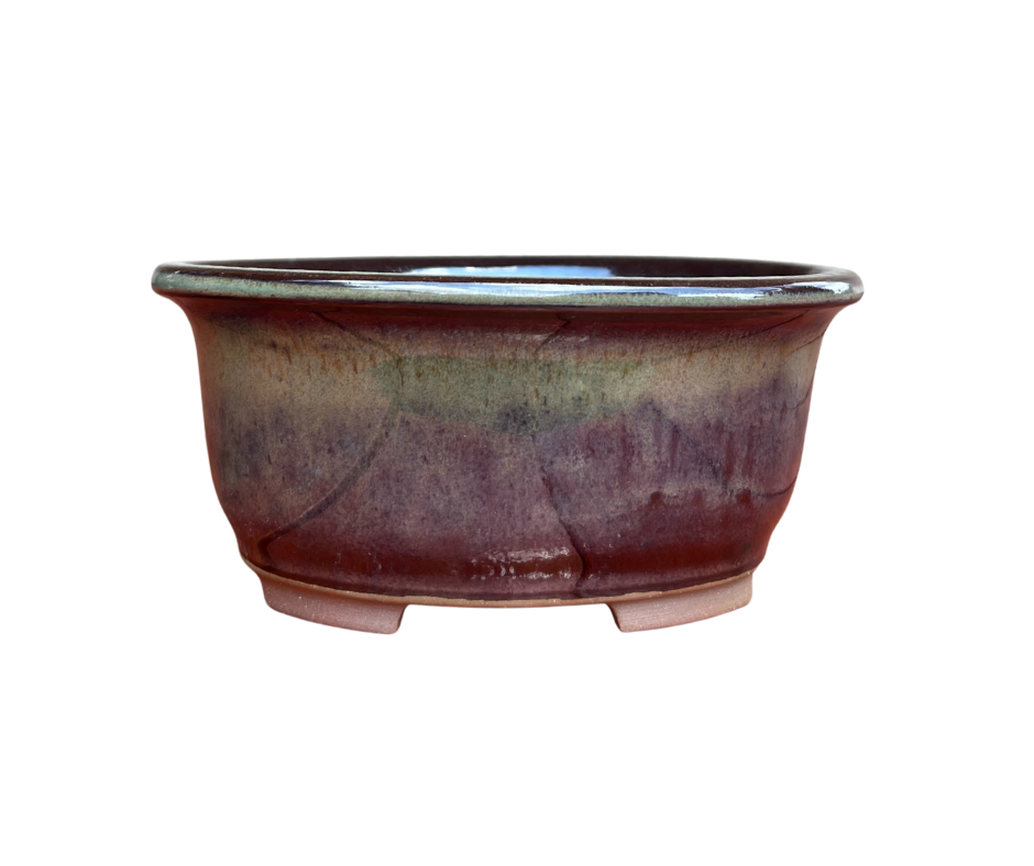 Bonsai Pot Fat xs - Image 4