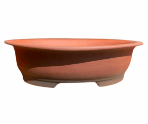 bonsai pot succulent nursery centurion pretoria