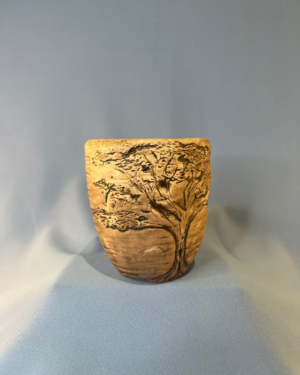 bonsai nursery centurion pot succulents