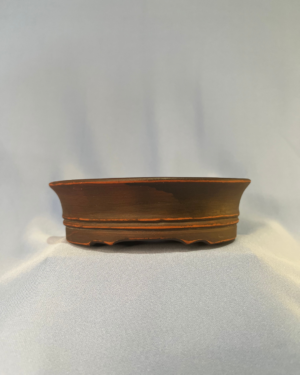 bonsai nursery centurion pot succulents