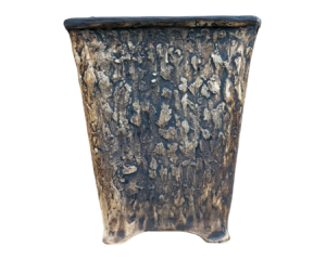 Bonsai pot nursery centurion succulent